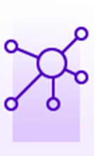 Delightful Experience